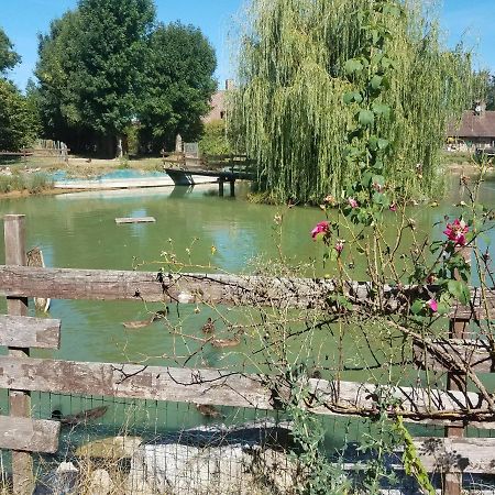 Ferme Bressane Les Arums Mervans Kültér fotó